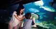 Sea Life Ticket Offers
