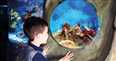 SEALIFE