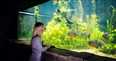 SEALIFE