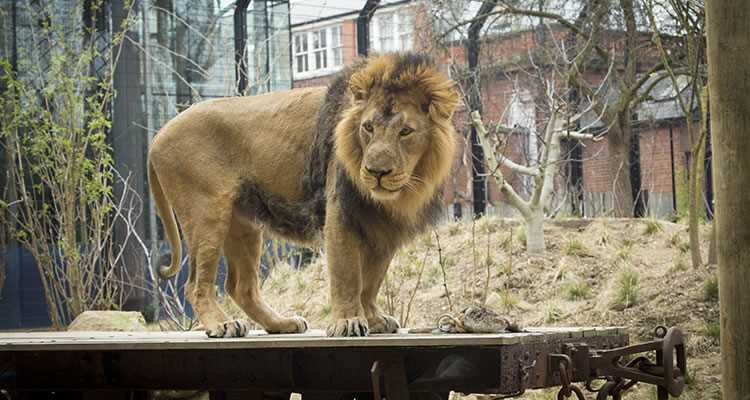 London Zoo